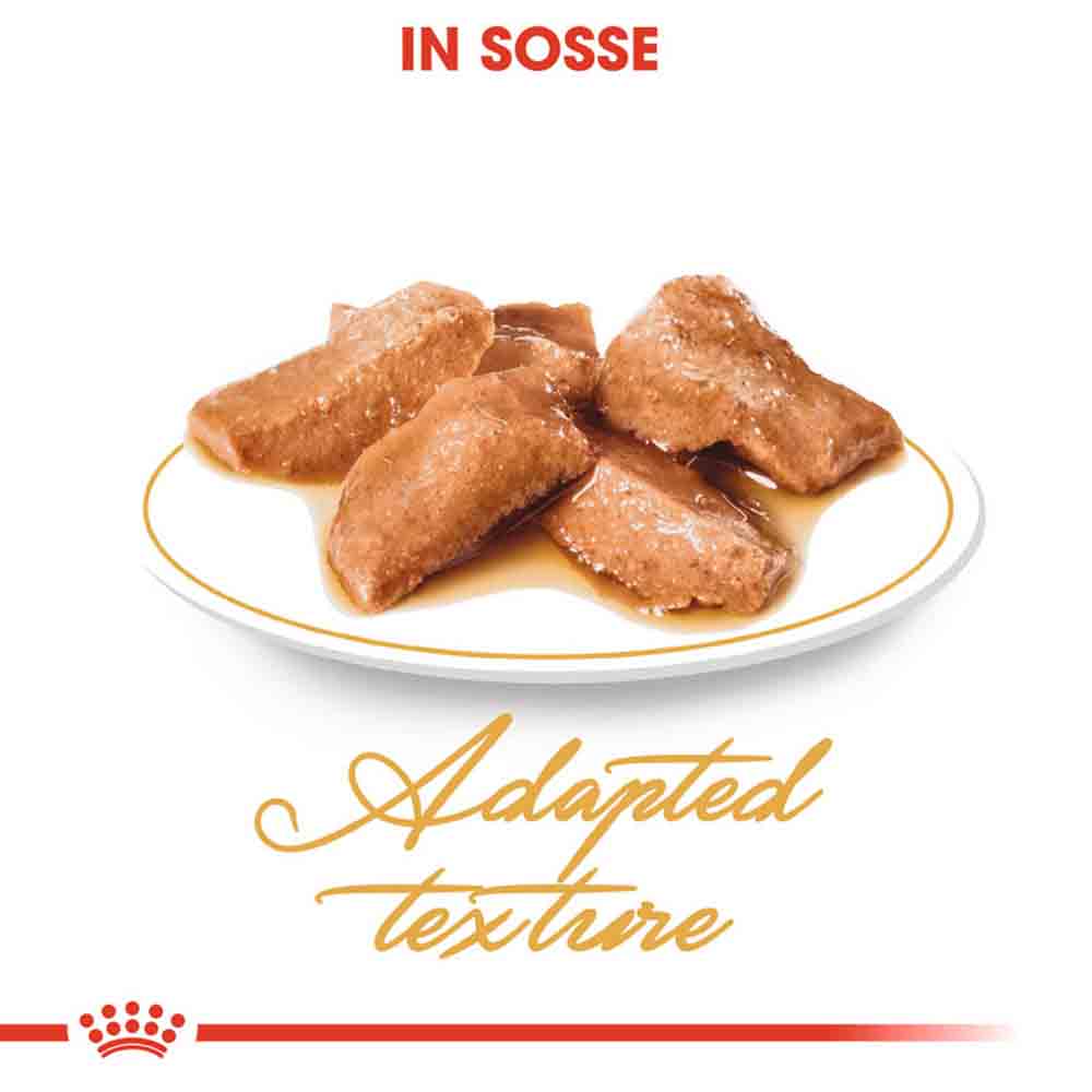 Royal Canin Maine Coon Adult Katzenfutter nass_4