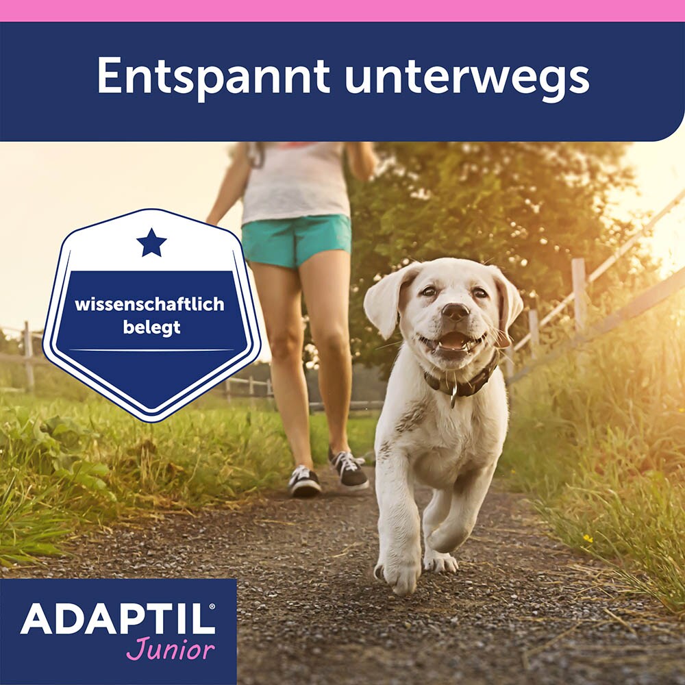 Adaptil Junior Halsband_6