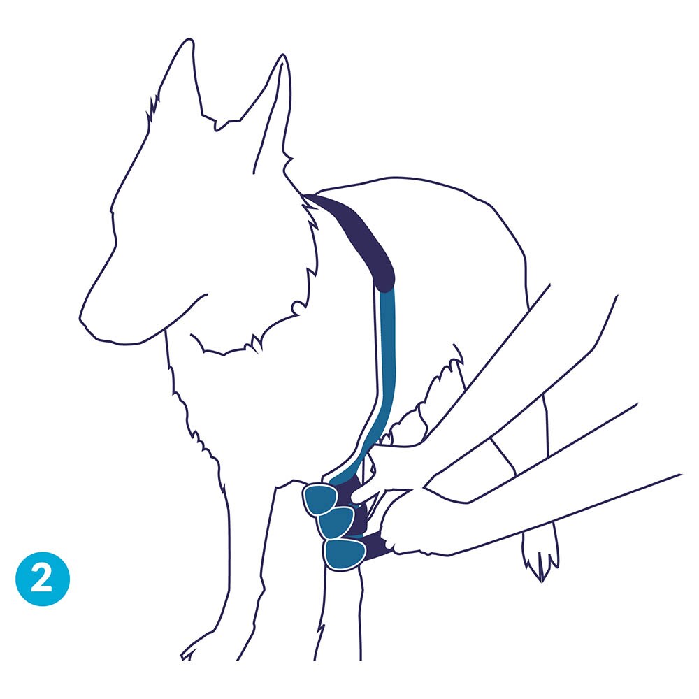 Balto Rehab Orthese BT Soft Links_2