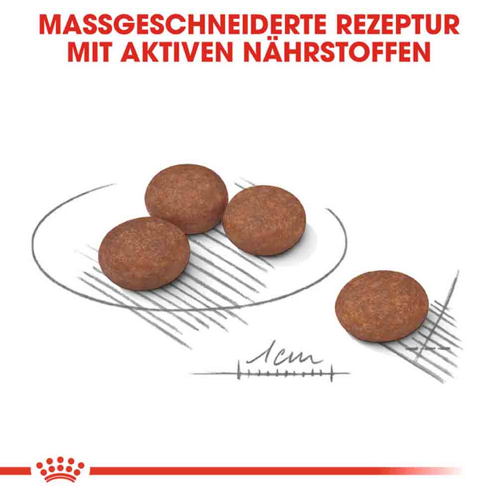 Royal Canin Digestive Care Mini Trockenfutter für kleine Hunde mit empfindlicher Verdauung_4
