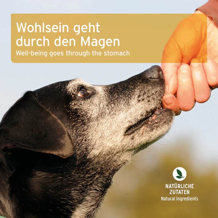 AniForte Magen & Darm Snack_6
