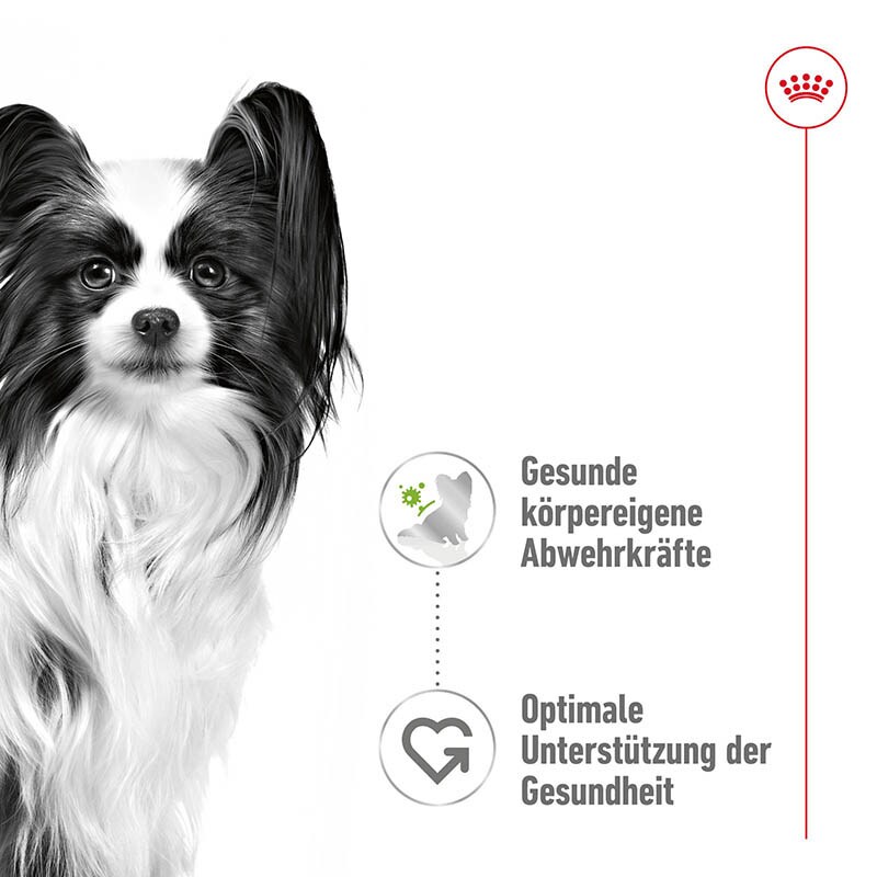 Royal Canin Adult Feuchtnahrung als Häppchen in Soße (>10. Lebensmonat)_1