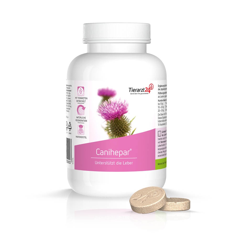 Tierarzt24 Canihepar_0