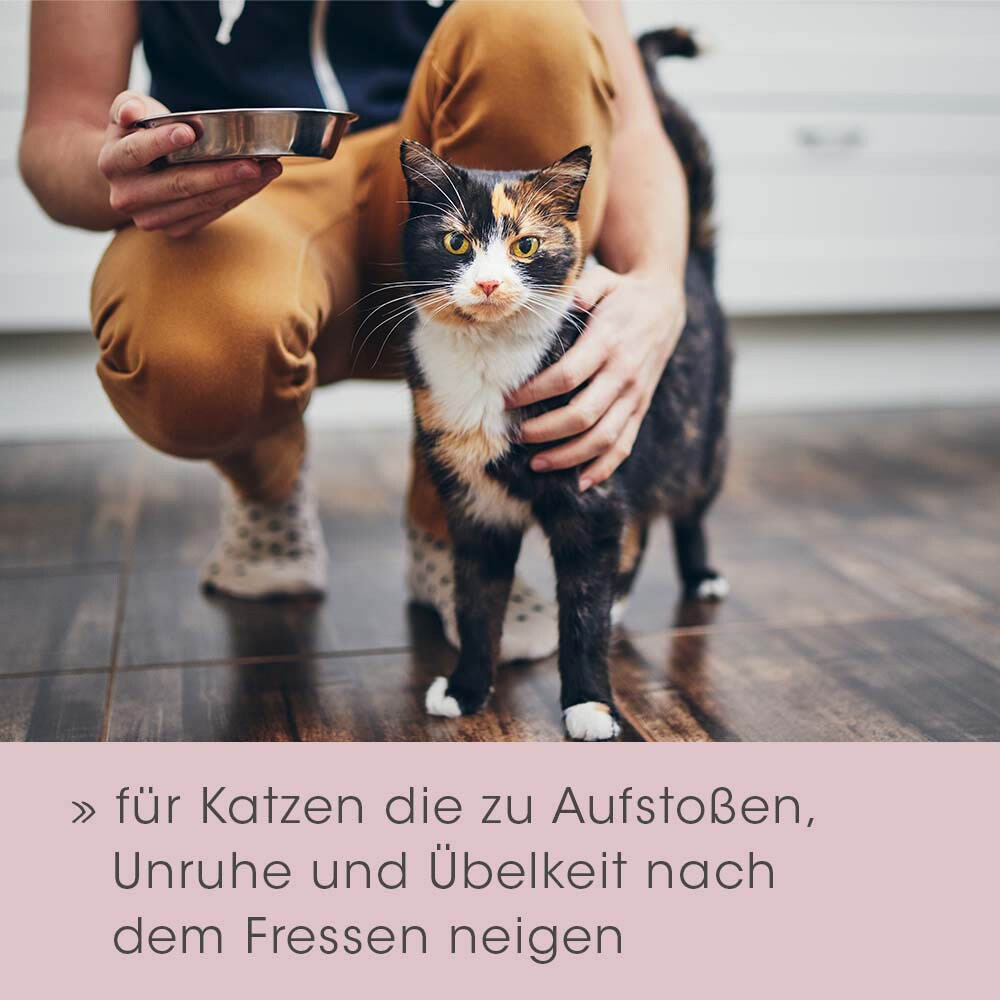 cdVet feliTATZ Magenschutz_6