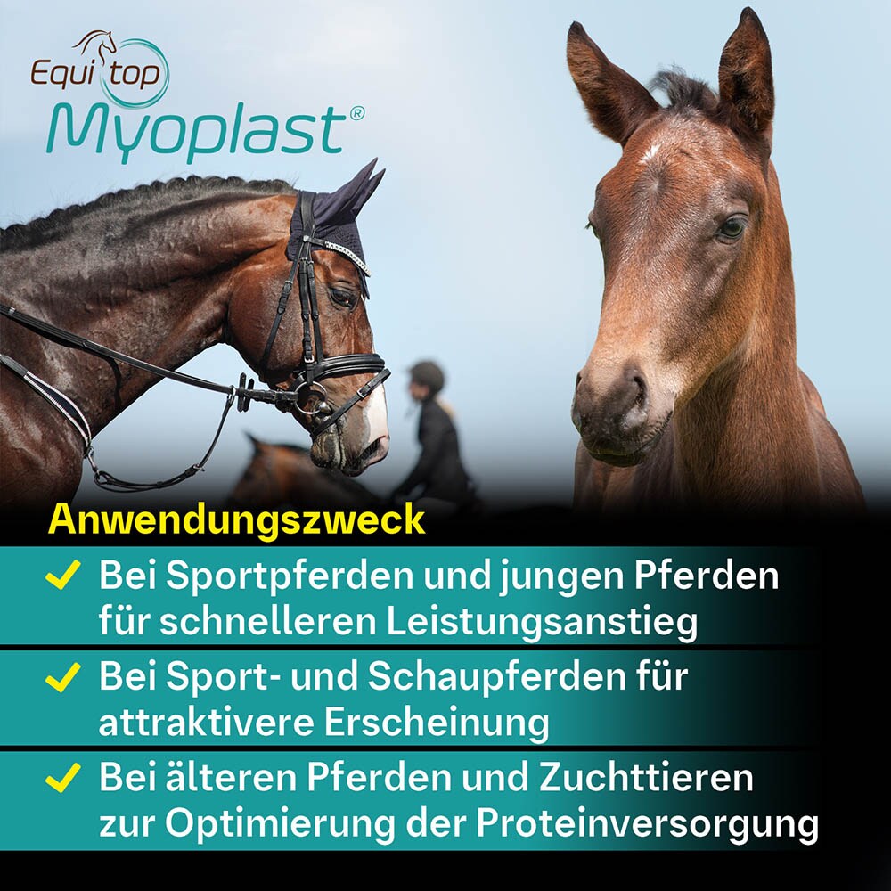 Boehringer Ingelheim Equitop Myoplast Granulat_6