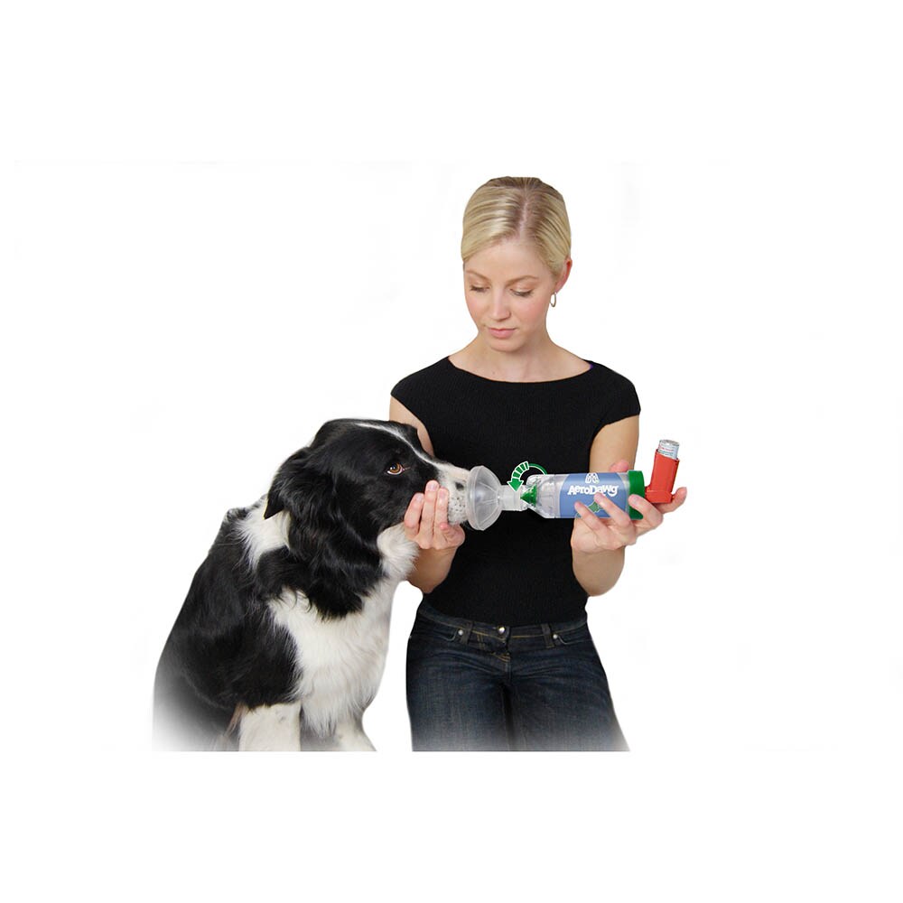 AeroDawg für Hunde_3