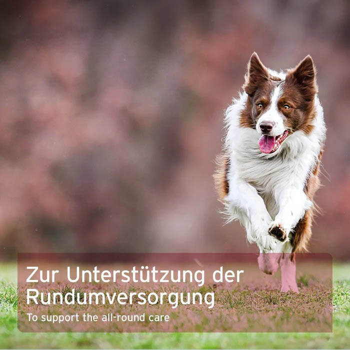 AniForte 4in1 Complete Dog_4