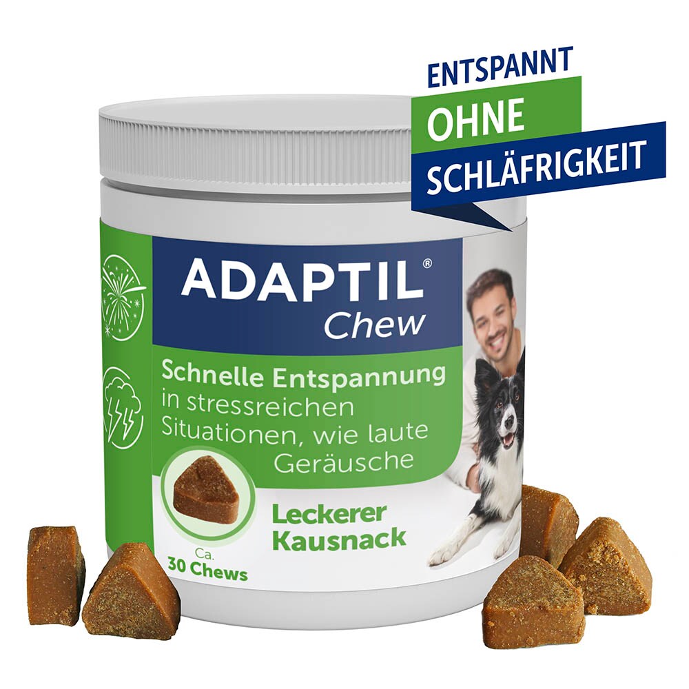 Adaptil Chew_0