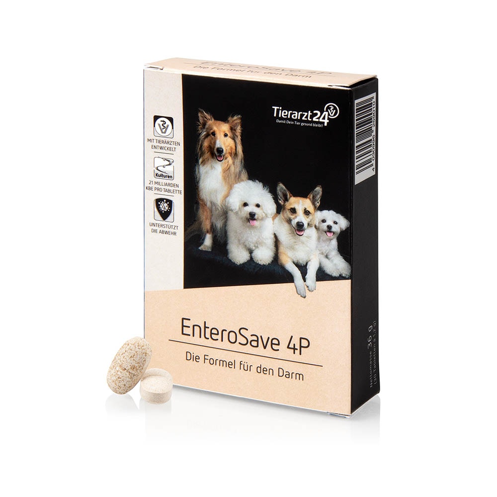 Tierarzt24 EnteroSave 4P_0