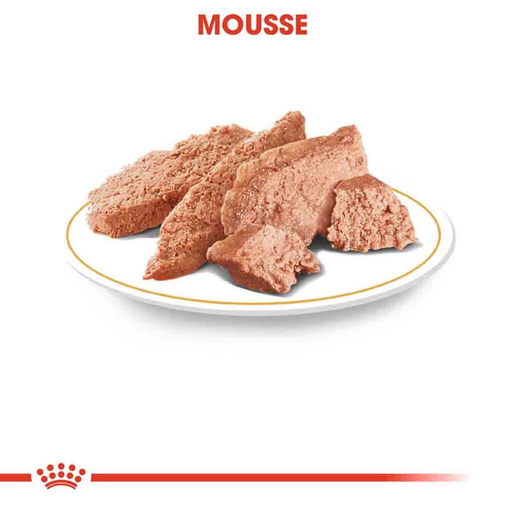 Royal Canin Dachshund Adult Hundefutter nass_4