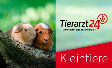 Kleintiere