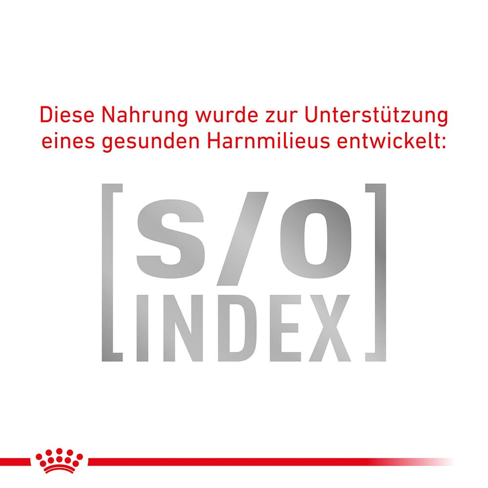 Royal Canin Gastrointestinal Fibre Response in Soße Nassfutter für Katzen_6