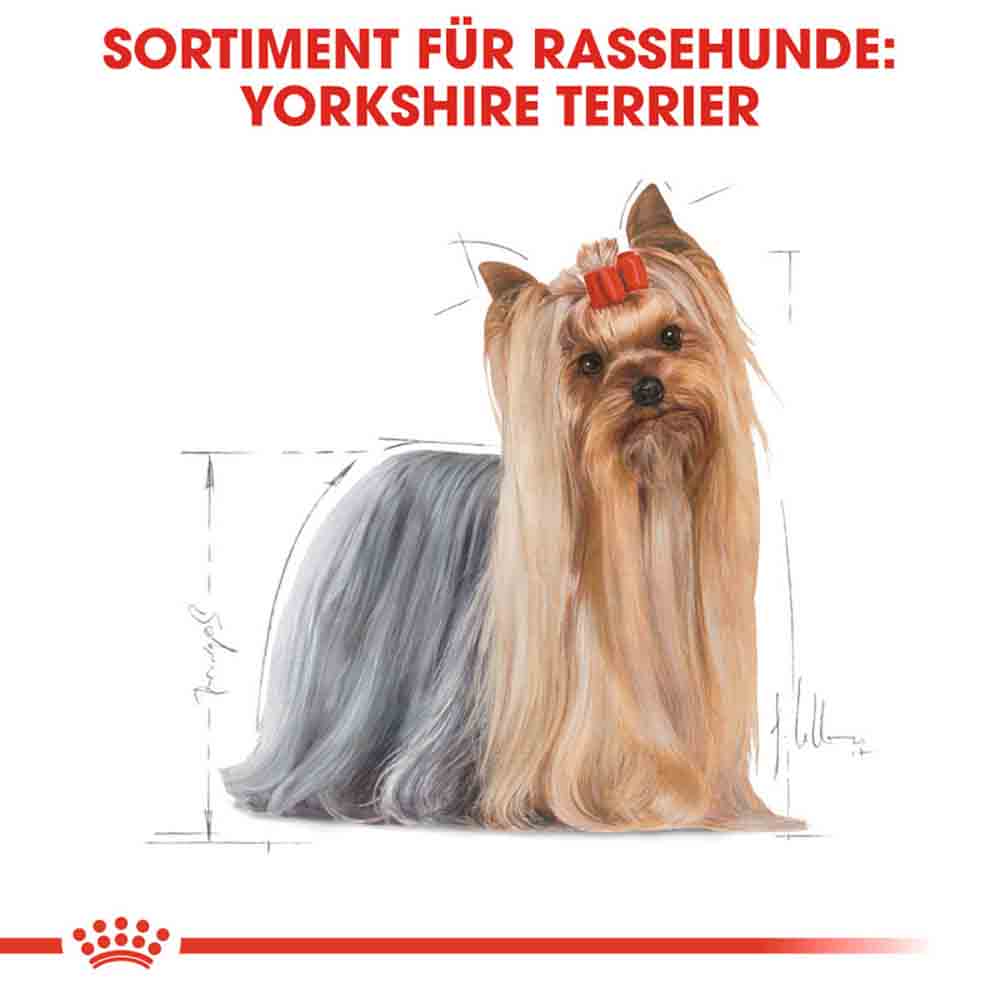 Royal Canin Yorkshire Terrier Adult Hundefutter nass _2