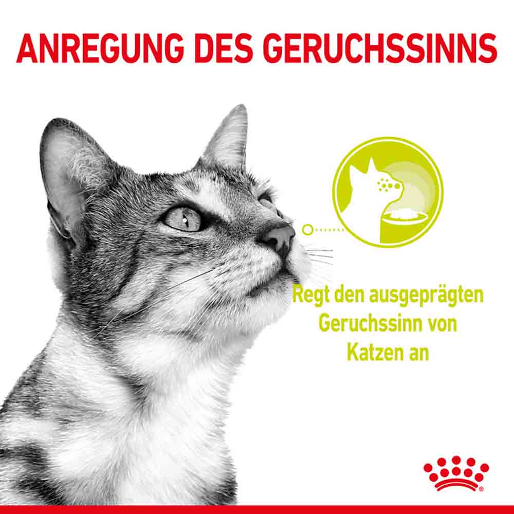 Royal Canin Sensory Smell Nassfutter in Soße für wählerische Katzen_2