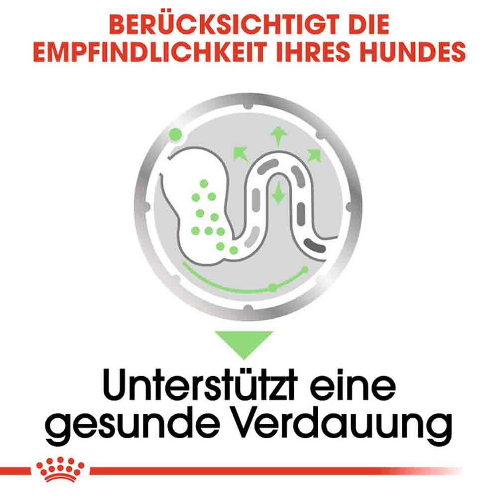 Royal Canin Digestive Care Nassfutter für Hunde mit empfindlicher Verdauung  _3