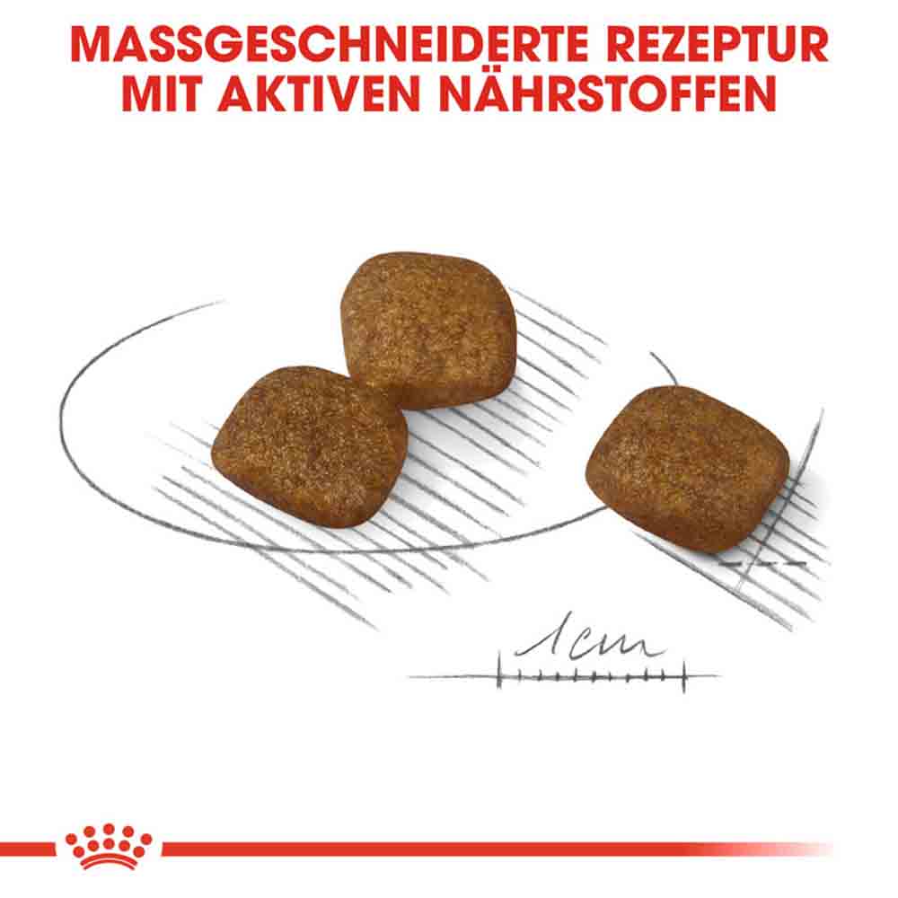 Royal Canin Coat Care Mini Trockenfutter für kleine Hunde für glänzendes Fell_4