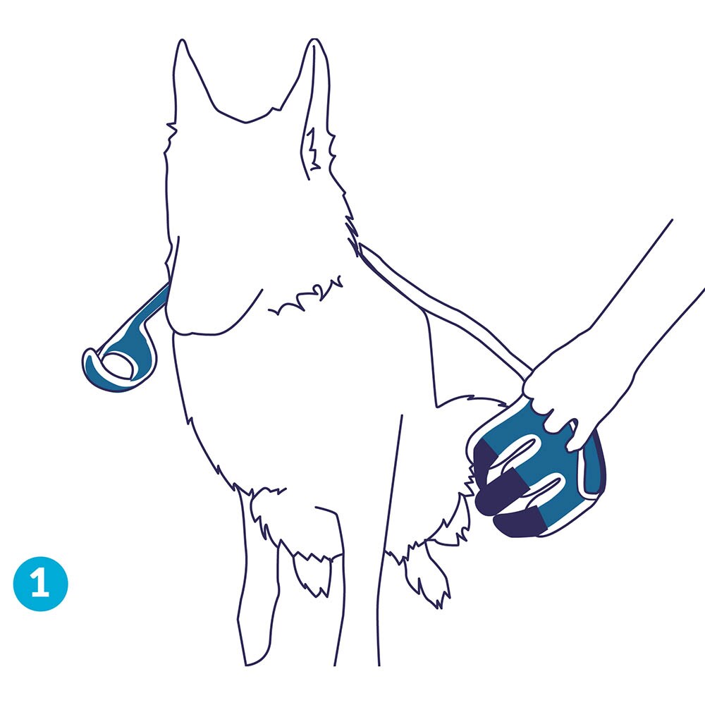 Balto Rehab Orthese BT Soft Links_1