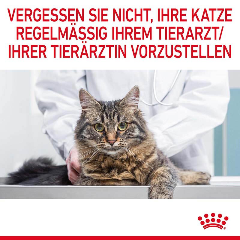 Royal Canin Hair & Skin Care  Katzennahrung trocken für gesundes Fell_7