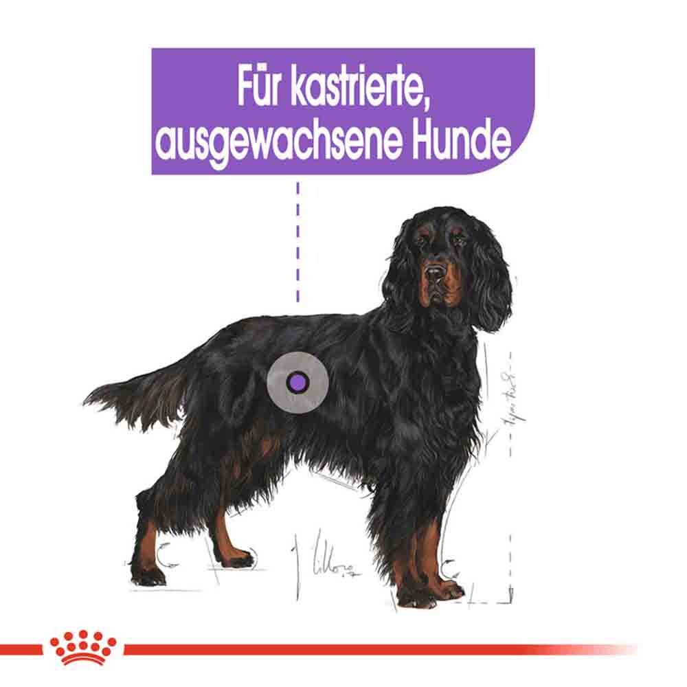 Royal Canin Sterilised Maxi Trockenfutter für kastrierte große Hunde_2
