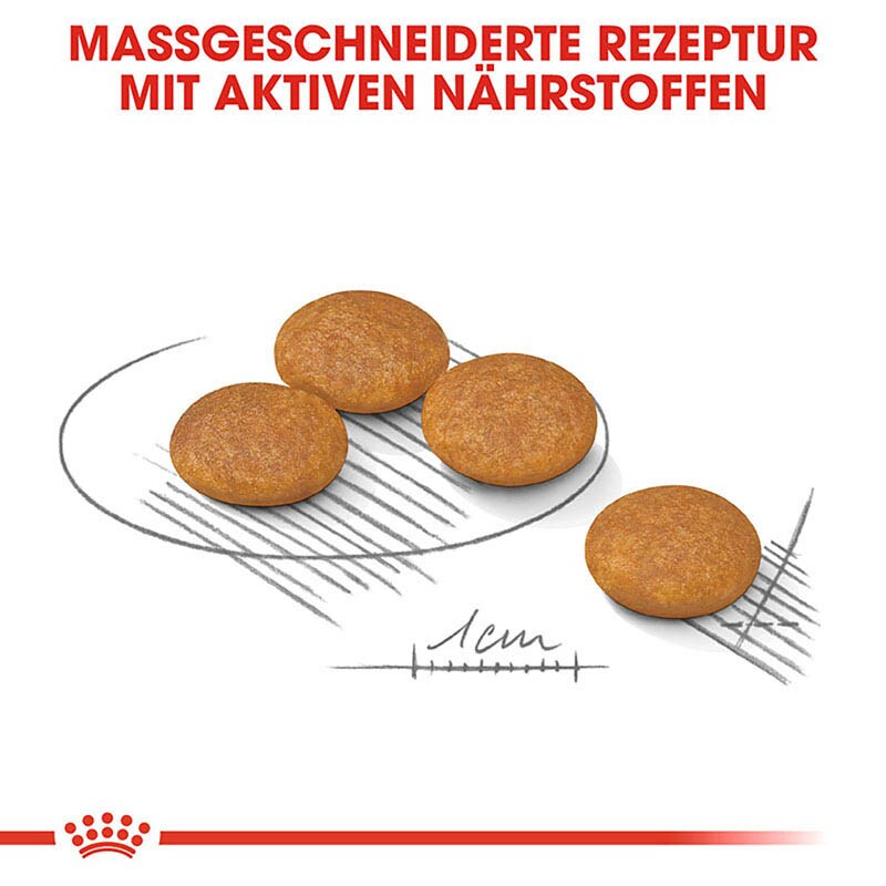 Royal Canin Dermacomfort Mini Trockenfutter für kleine Hunde mit empfindlicher Haut_4