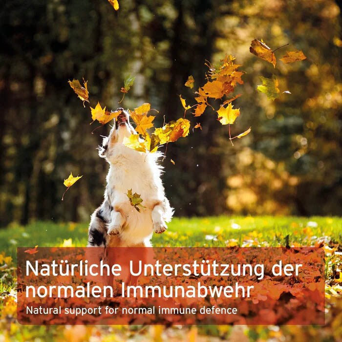 AniForte Premium Colostrum_5