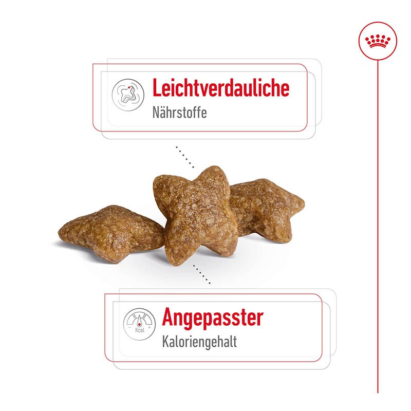 Royal Canin Mini Adult Trockenfutter für kleine Hunde_3