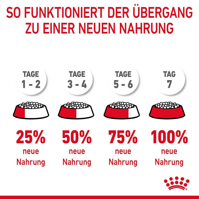 Royal Canin Hair & Skin Care  Katzennahrung trocken für gesundes Fell_6
