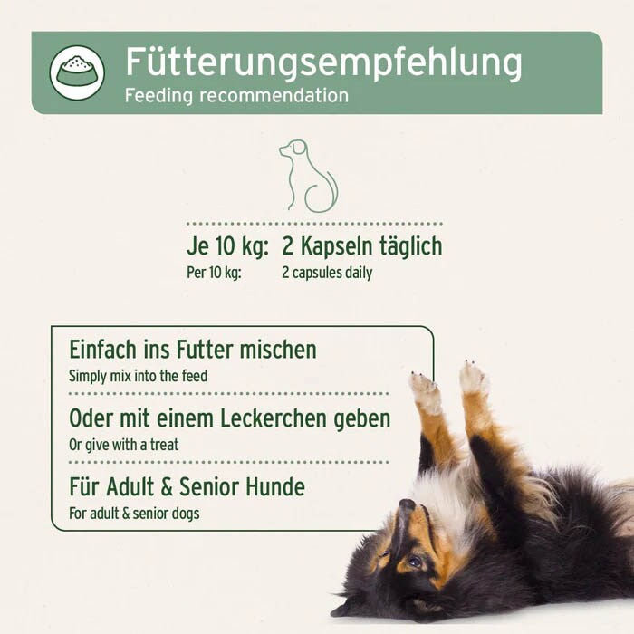 AniForte Teufelskralle Kapseln_3