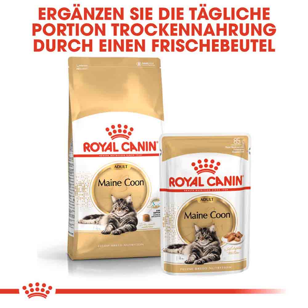 Royal Canin Maine Coon Adult Katzenfutter trocken _5