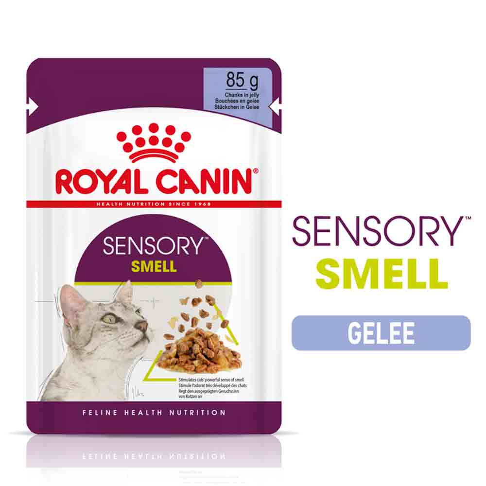 Royal Canin Sensory Smell Smell Nassfutter in Gelee für wählerische Katzen_0