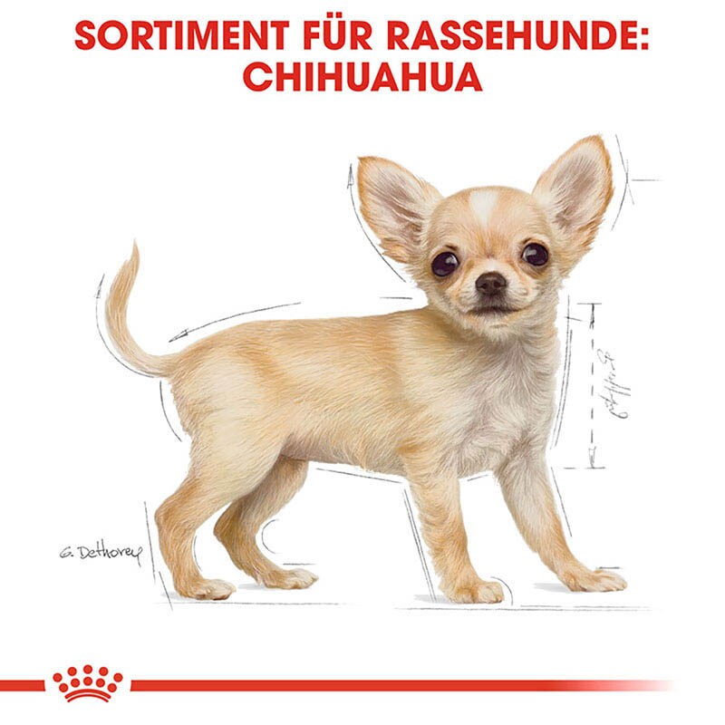 Royal Canin Chihuahua Puppy Welpenfutter trocken_2