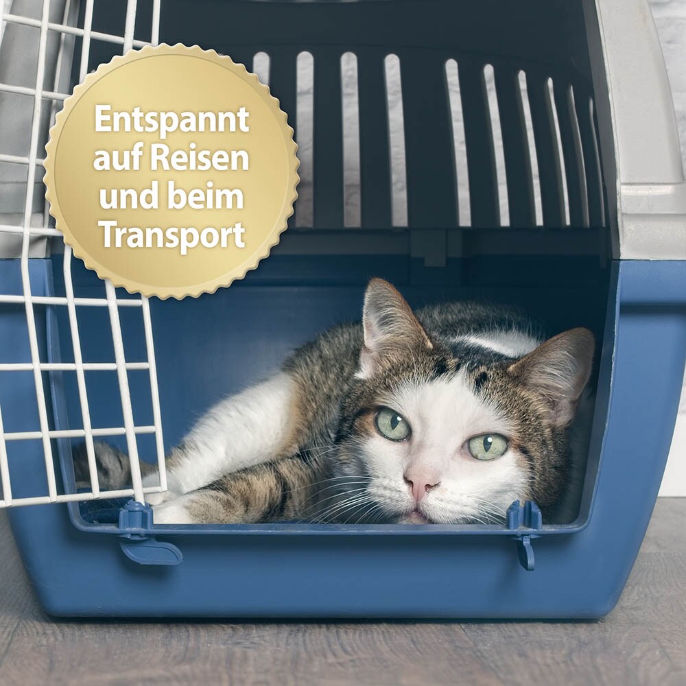 Felisept Home Comfort Spray für Katzen_2
