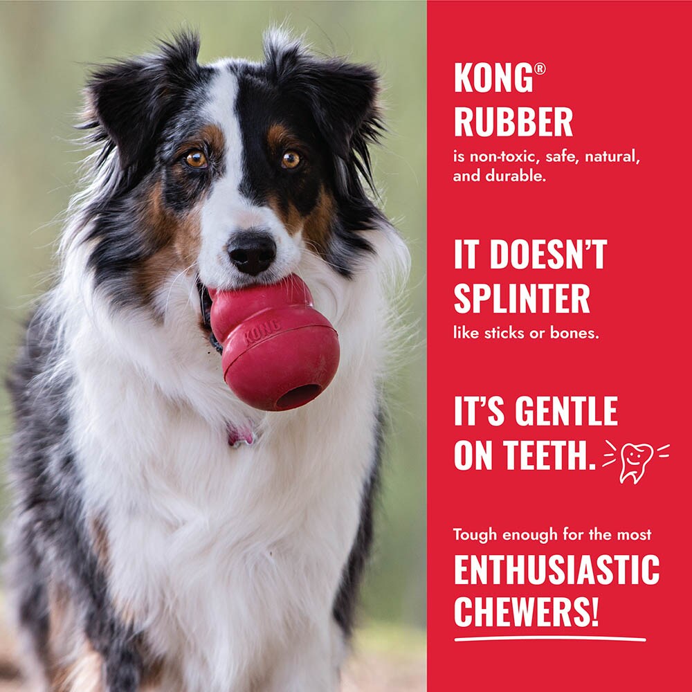 KONG Flyer_6