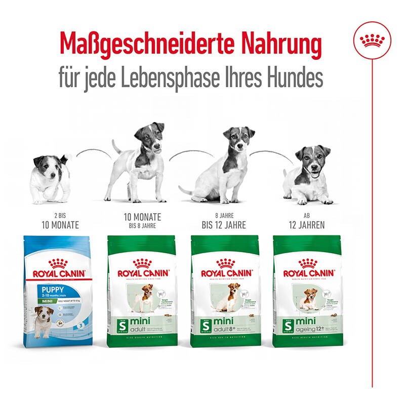 Royal Canin Mini Adult Trockenfutter für kleine Hunde_6