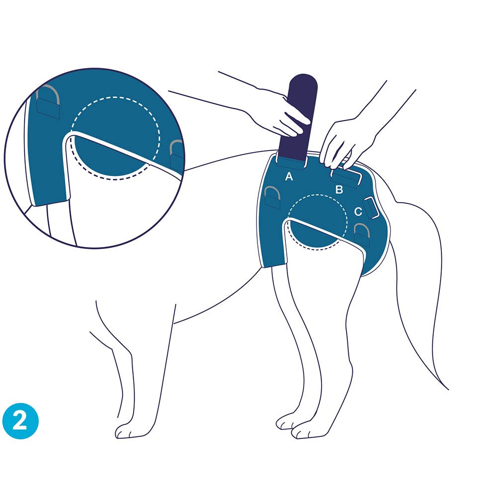 Balto Rehab BT Life_3