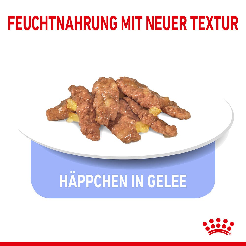 Royal Canin Indoor 7+ Sterilised in Gelee Nassfutter für Wohnungskatzen ab 7 Jahren_4
