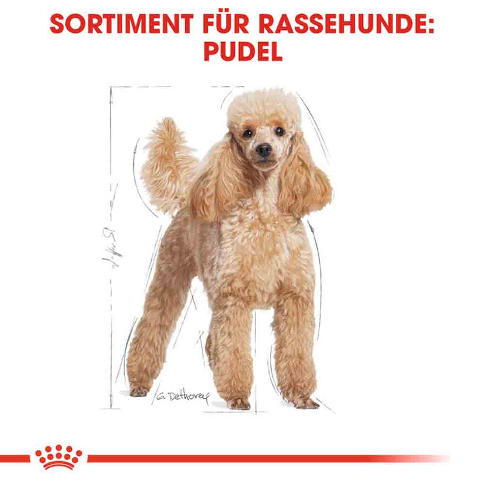 Royal Canin Poodle Adult Hundefutter trocken_2