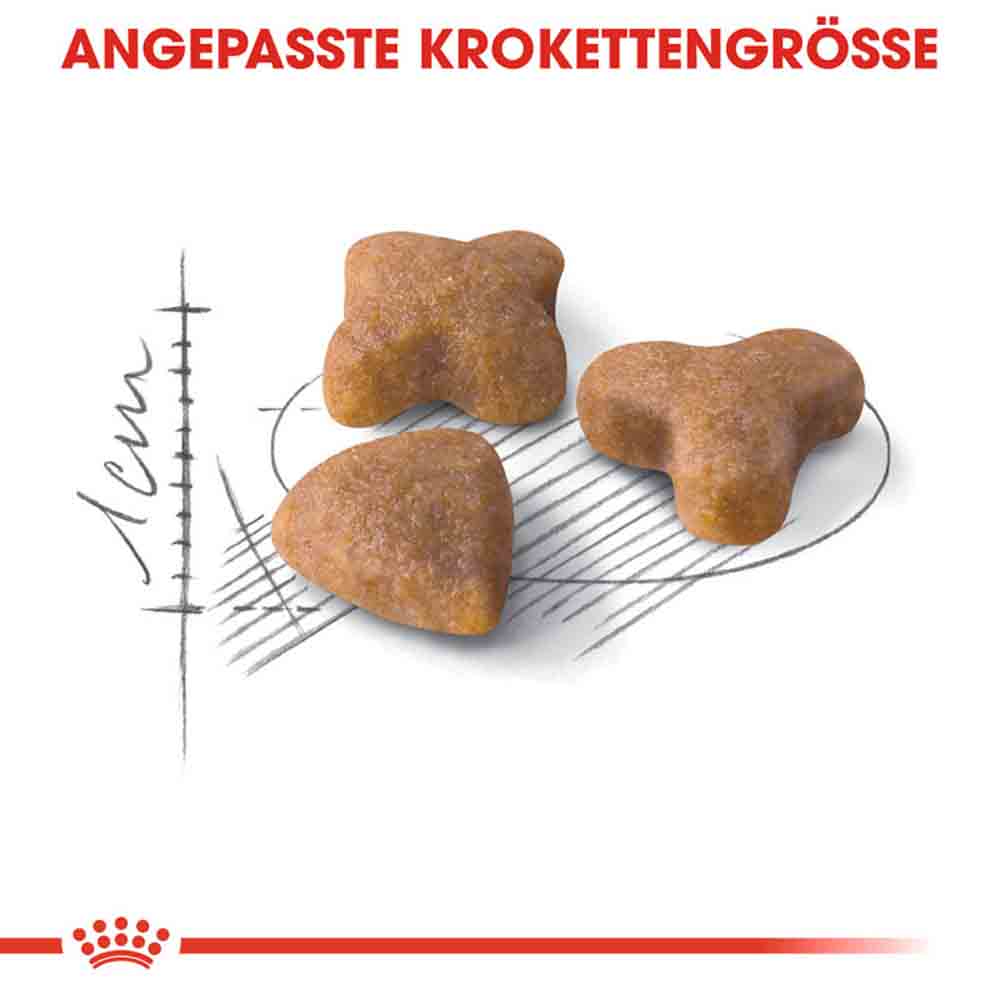 Royal Canin Sensible Trockenfutter für sensible Katzen_3