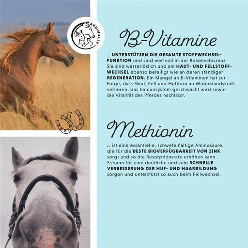 Annimally Biotin Liquid_4