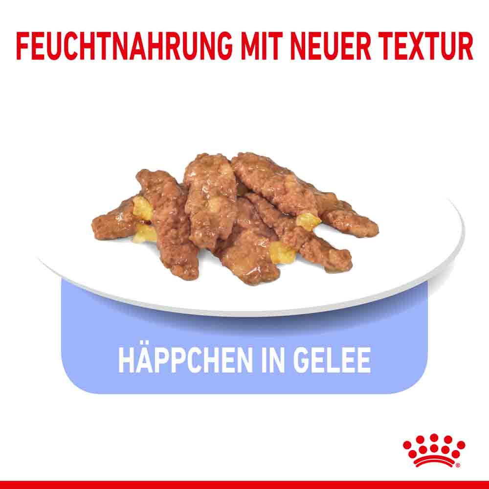Royal Canin Indoor Sterilised in Gelee Nassfutter für Wohnungskatzen_5