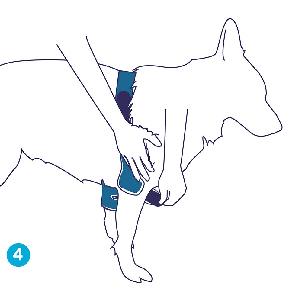 Balto Rehab Orthese BT Soft Links_4