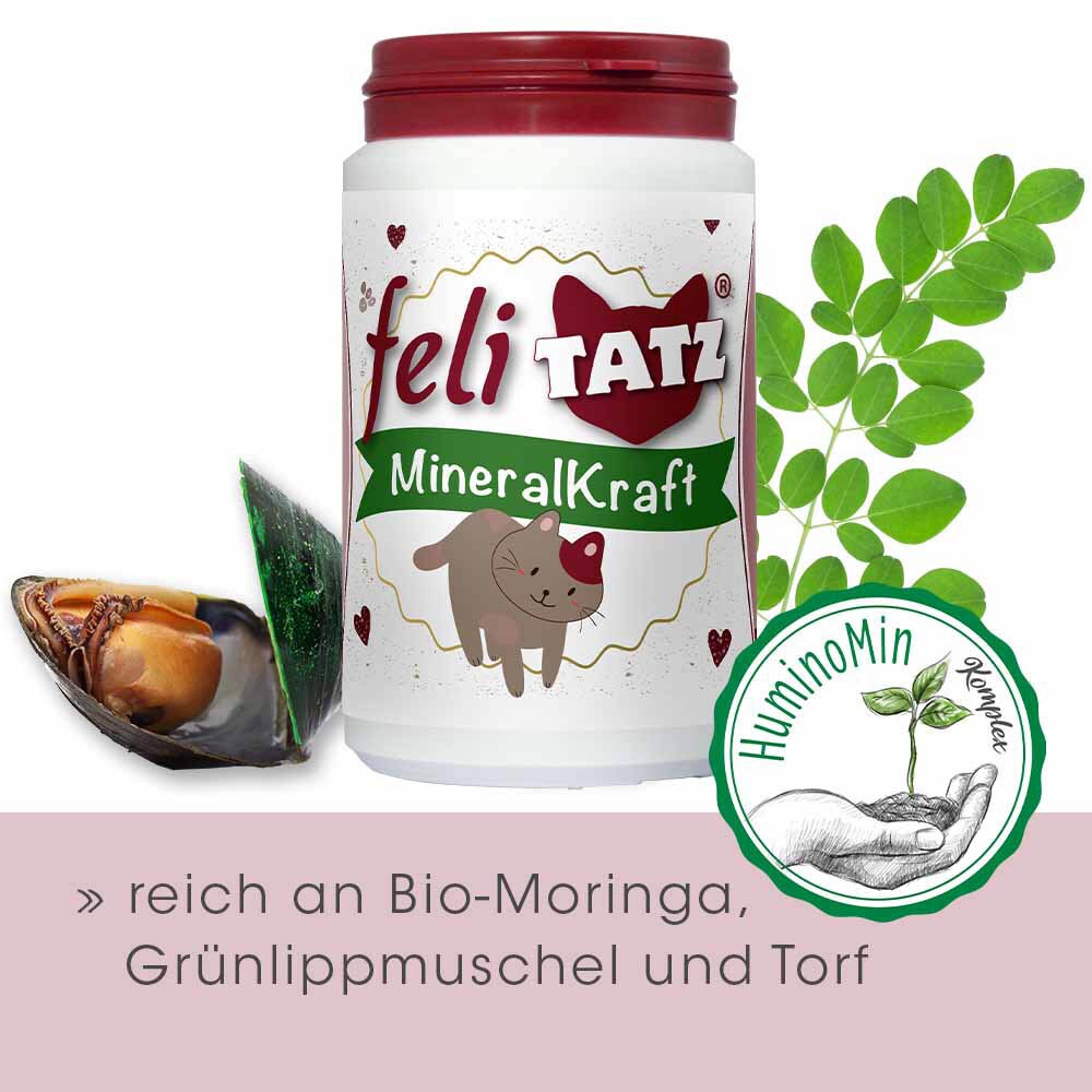 cdVet feliTATZ MineralKraft_3