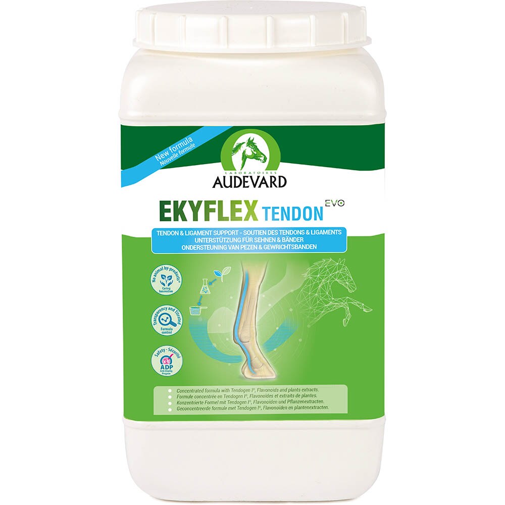 Audevard Ekyflex Tendon EVO_1
