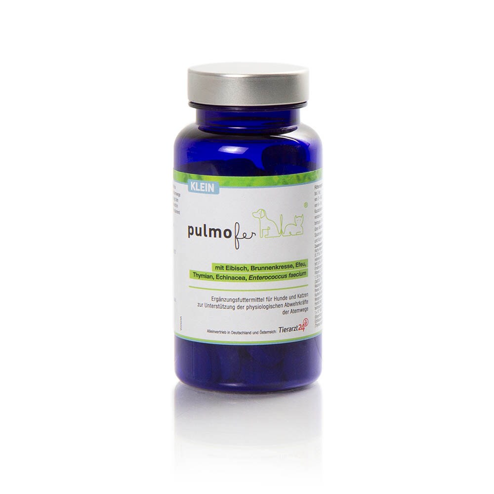 Pulmofer_1