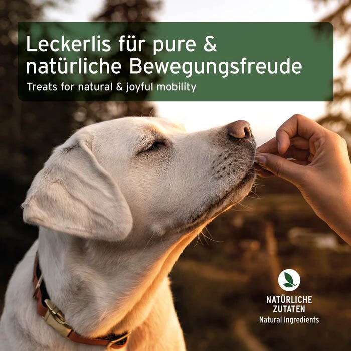 AniForte Gelenk-Snack_6