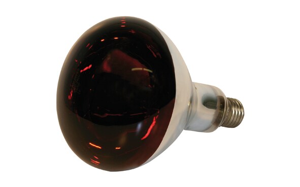 Rotlicht-Lampe 150w_0