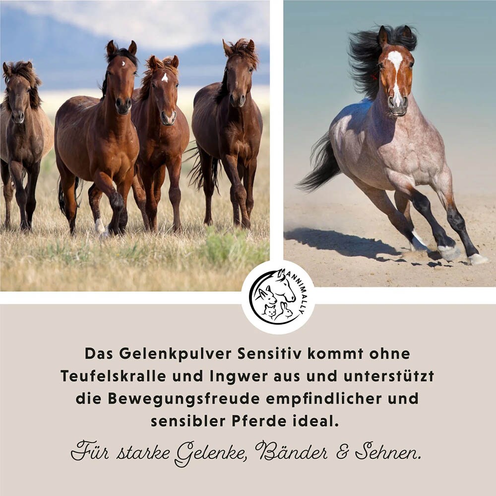 Annimally Bewegungsfreude Sensitiv_2
