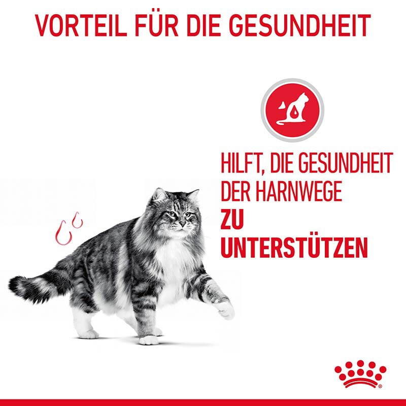 Royal Canin Urinary Care Nassfutter für Katzen in Soße zur Unterstützung der Harnwege_4