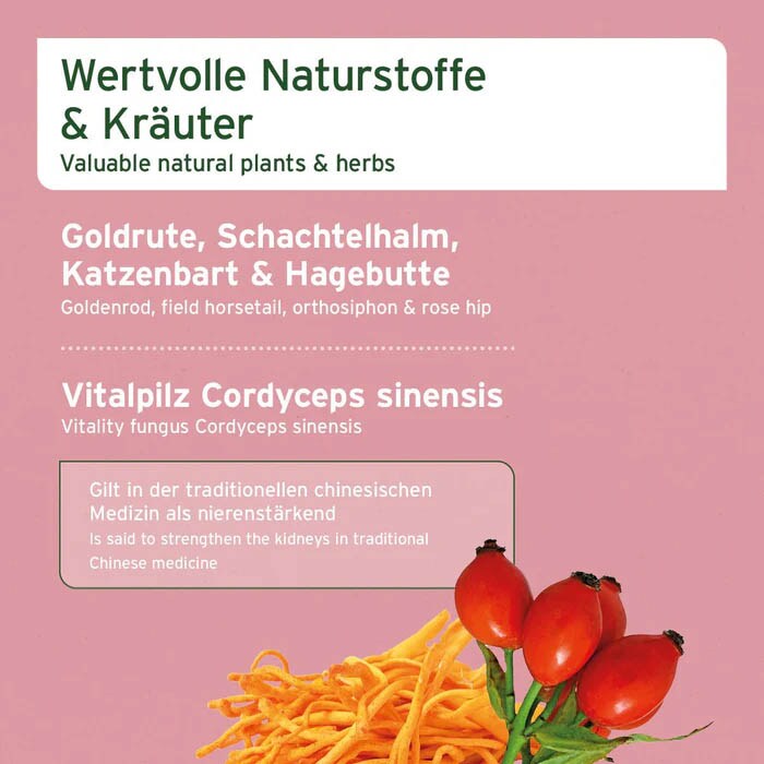 AniForte NierenVetal Pulver für Hunde_1