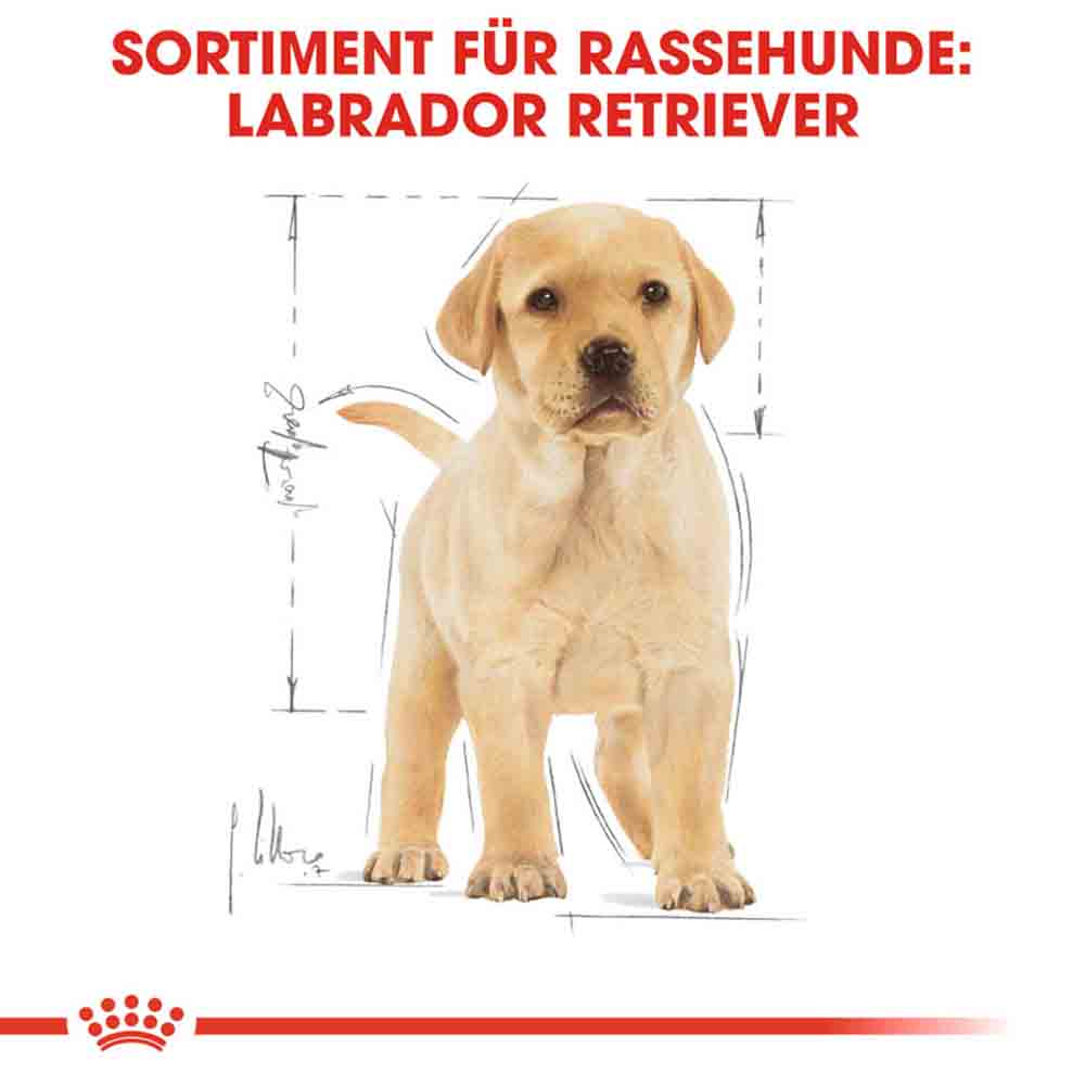 Royal Canin Labrador Retriever Puppy Welpenfutter trocken_5